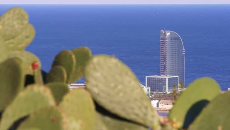 barcelona-sonnigen-Tag-montjuic-cactus-Blick-auf-den-berühmten-Strand-hotel-mit-4-k-Spanien