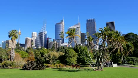 Sydney-City-Skyline,-Royal-Botanic-Garden