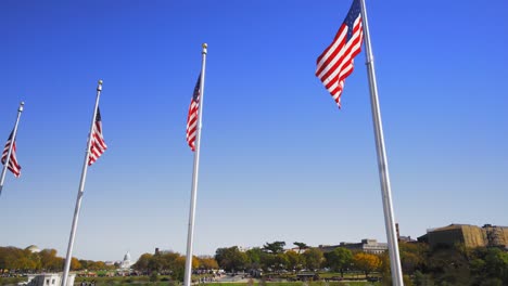 video-shot-in-washington-dc-of-american-flags