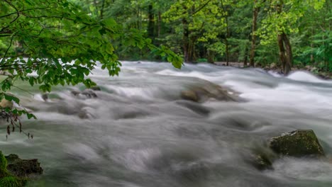 Schwimmende-Fluss-Bayern