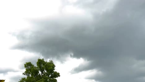 Umzüge-von-Regenwolken-über-den-Baum-in-der-Regenzeit-von-Thailand.