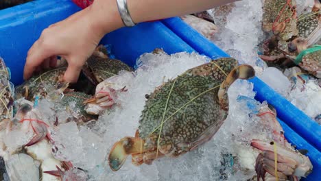 Buying-horse-or-blue-swimming-crab-in-market-of-Thailand