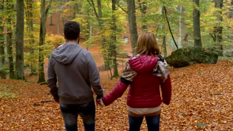 Pareja-romántica-caminando-en-el-bosque-en-otoño-back-ver