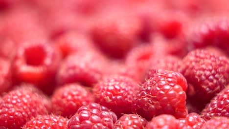 Frische-süße-Himbeeren-Hintergrund.-Reife-Himbeeren-Dolly-Schuss-Nahaufnahme