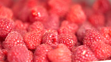 Frische-süße-Himbeeren-umzudrehen.-Reife-Himbeeren-Obst-Hintergrund.