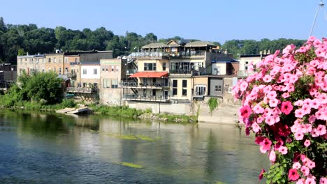 Grand-River-at-Paris,-Ontario,-Canada-with-flowers-in-foreground