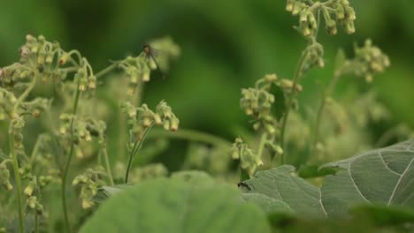 Movement-Of-Nature