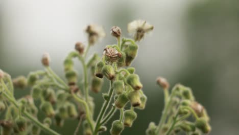 Bewegung-der-Natur