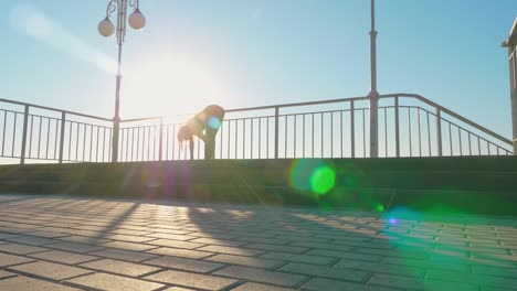 Yoga-und-Pilates-Übungen-auf-dem-Dach