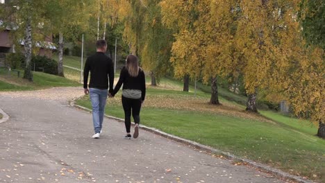 Chico-joven-con-una-chica-caminando-en-el-parque,-cogidos-de-la-mano