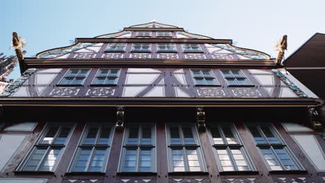 Don-Romer-Projekthaus-des-goldenen-Schuppen-Fassade