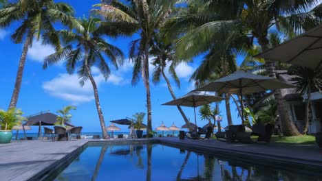 4K-Paradise-island-timelapse---pool-and-palm-trees