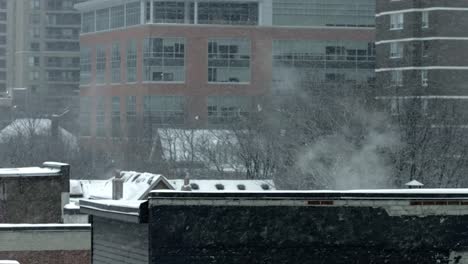 Roofs-in-the-winter