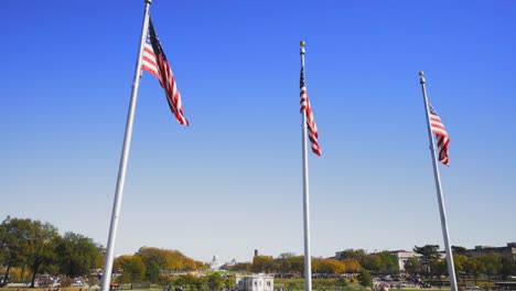 video-shot-in-washington-dc-of-american-flags