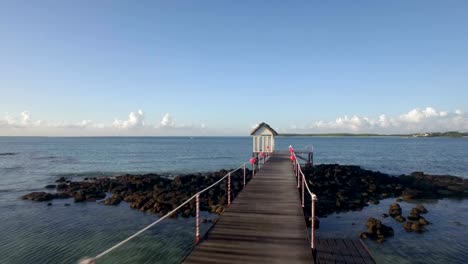 Flying-back-from-the-wooden-in-ocean