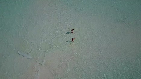 v03815-fliegenden-Drohne-Luftaufnahme-der-Malediven-weißen-Sandstrand-am-sonnigen-tropischen-Inselparadies-mit-Aqua-blau-Himmel-Meer-Wasser-Ozean-4k-2-Personen-junges-Paar-Mann-Frau-Ball-Spaß-zusammen-zu-spielen