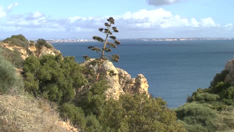 Die-Küste-der-Algarve-in-Lagos-Portugal