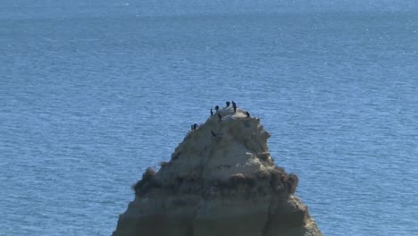 Algarve-coast-at-Lagos-Portugal