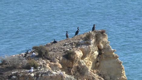 Algarve-coast-at-Lagos-Portugal