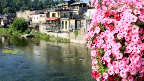 Grand-River-at-Paris,-Ontario,-Canada-with-flowers-in-front