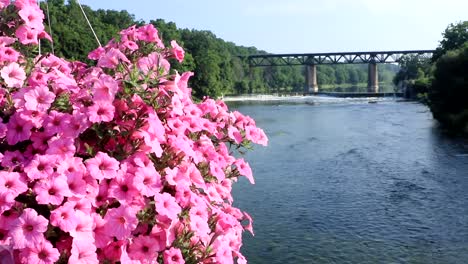 Río-magnífico-en-París,-Ontario,-Canadá-con-flores