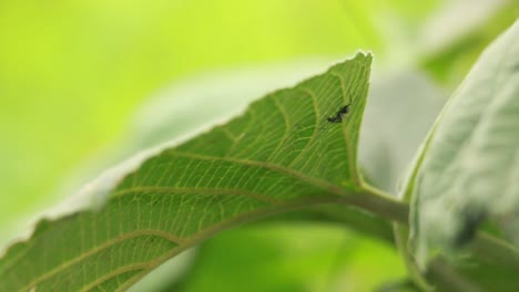 Bewegung-der-Natur