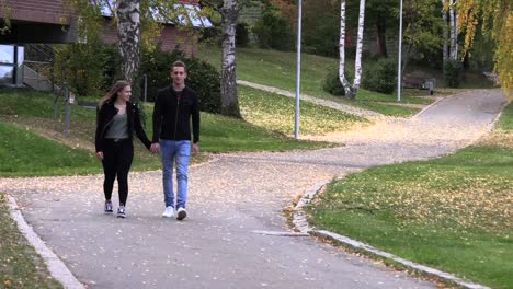 Young-guy-with-a-girl-walk-in-the-park,-holding-hands