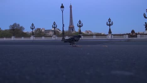 Morgen-in-der-Nähe-von-Alexander-Brücke,-Paris,-Frankreich