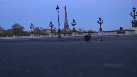 Morgen-in-der-Nähe-von-Alexander-Brücke,-Paris,-Frankreich