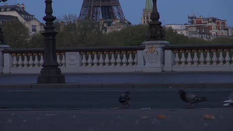 Morning-near-the-Alexander-bridge,-Paris,-France