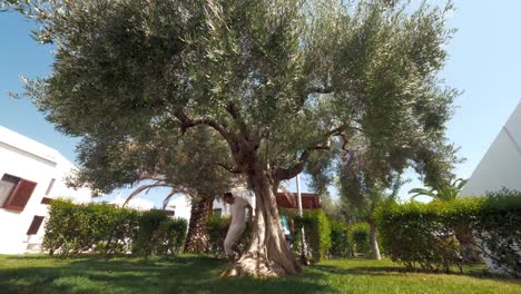 Glückliche-Zeit-mit-Papa.-Kind-mit-Vater-im-Garten-fangen-spielen