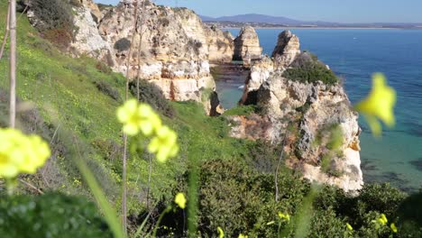 Ponta-da-Piedade,-lugar-famoso-en-el-sur-de-Portugal,-la-ciudad-de-lagos,-la-costa-rocosa,-olas-de-océano-Atlántico,-rocas-afiladas,-agua-azul,-flores-amarillas,-arco,-nadie,-playa-salvaje