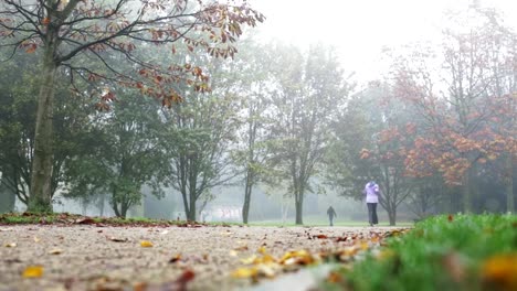 Morgendlichen-Laufen-durch-den-park