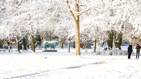 park-an-einem-sonnigen-Tag-im-winter