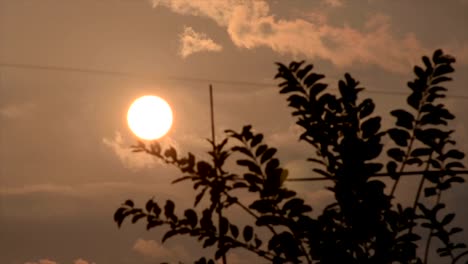 Die-Zeitraffer-von-Blätter-schwanken-im-Sonnenuntergang-Himmel