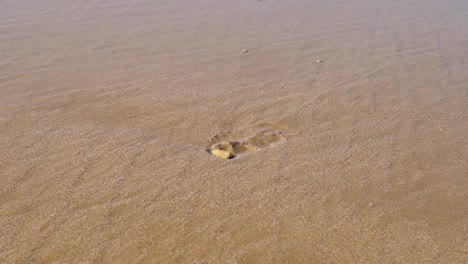 step-on-the-beach,-woman's-leg-morocco