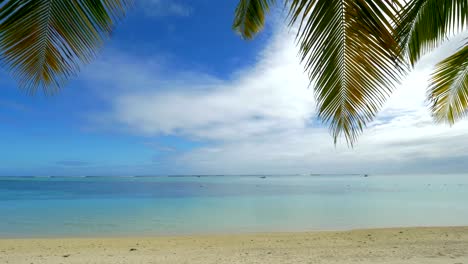 Ozean-Skyline,-Strand-und-Palmen-Filialen