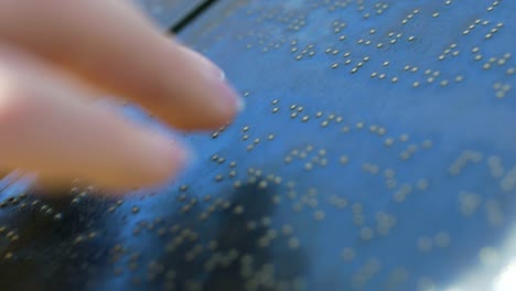 Blinden-Braille-Lesung