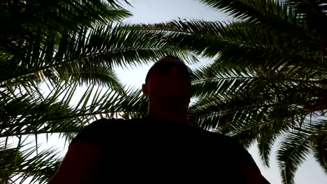 Silhouette-man-moving-under-Palm-Trees-silhouettes-in-tropical,-forest-backlit-by-sunset-sun.-4k-steadicam-shot