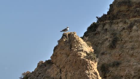 Algarve-coast-at-Lagos-Portugal