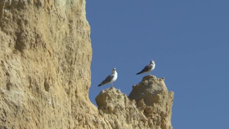 Die-Küste-der-Algarve-in-Lagos-Portugal