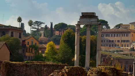 Plantas-y-árboles-en-la-colina-del-Palatino-en-Roma,-en-Italia