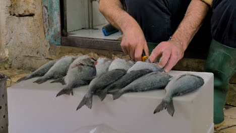 Man-cleaning-fish-to-prepare-it-for-sale