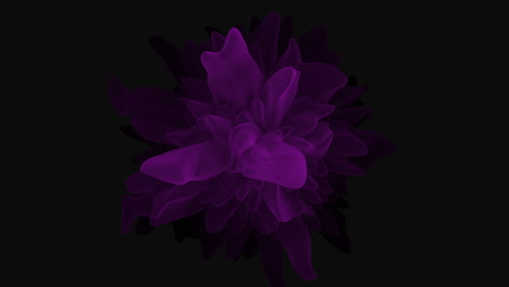 Flores-Púrpuras-Abstractas-Y-Místicas-Que-Fluyen-En-El-Espacio-Submarino