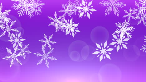 Copos-De-Nieve-Blancos-Que-Caen-Y-Brillos-En-El-Cielo-Púrpura-1