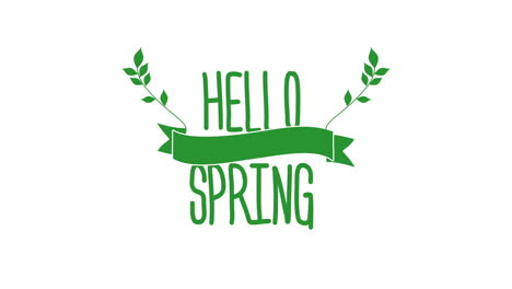 Hello-Spring-with-green-leafs-and-ribbon-on-white-gradient