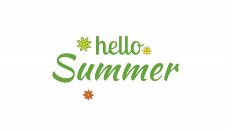 Hello-Summer-with-colorful-flowers-on-white-gradient