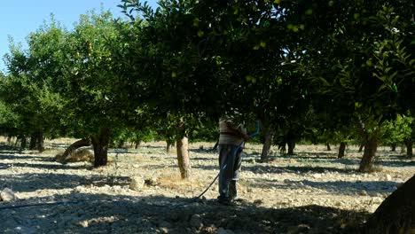 Cultivador-Del-Hombre-Del-Huerto