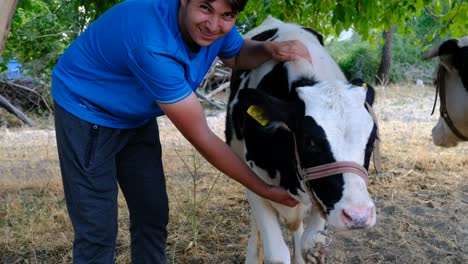 Heifer-loving-man-in-garden