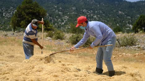 Pulverizador-De-Heno-Joven-Agricultor